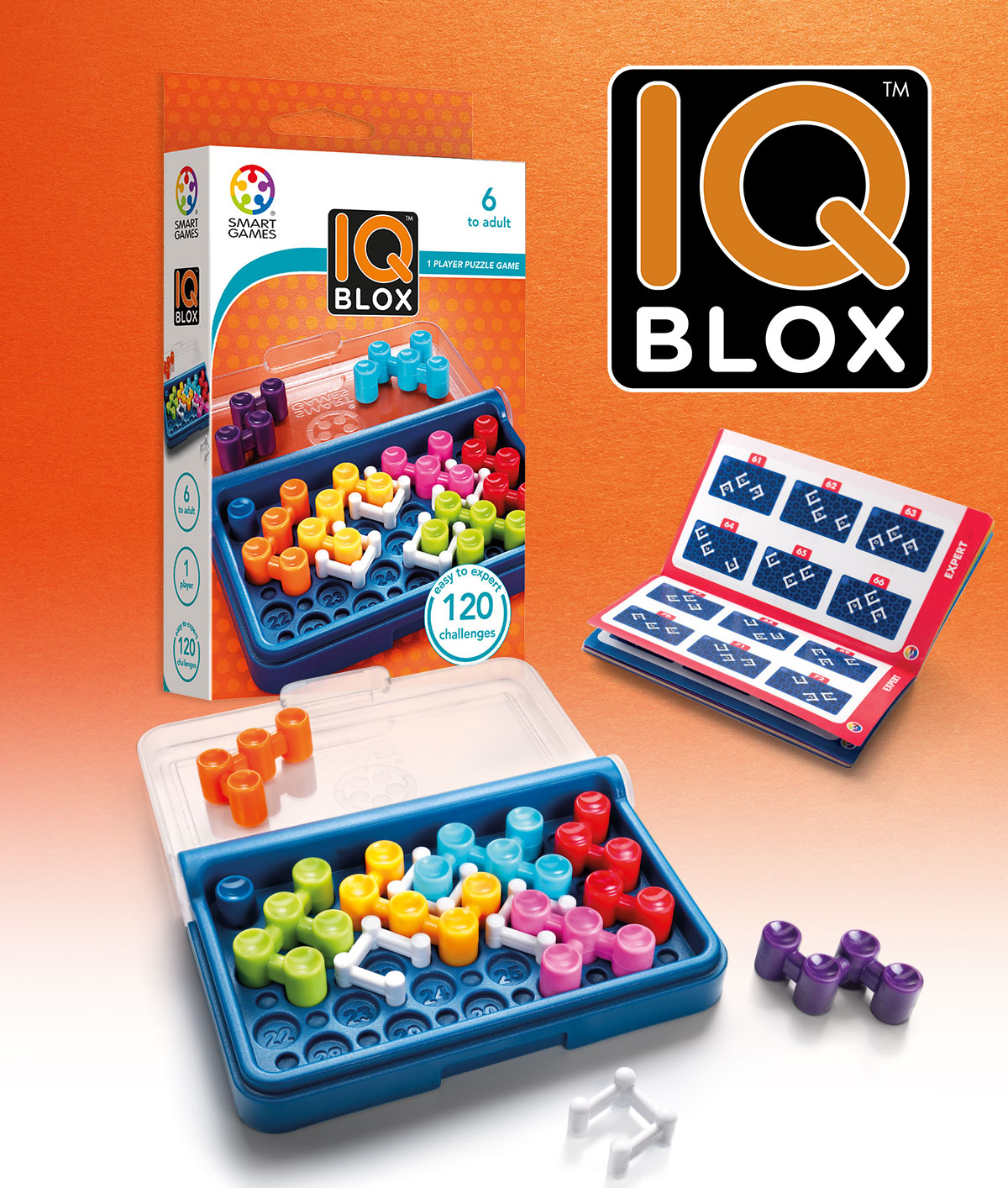 IQ F.I.T de Smart Games – Maman Blo-Gosse'Sphère !!